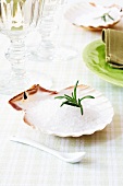A scallop shell as a salt dish
