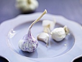 Garlic on a light blue plate