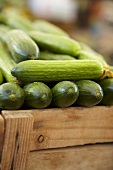 Cucumbers in a crate