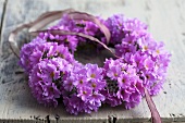 A lilac primrose wreath