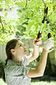 A young woman pruning a tree