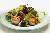 Mixed leaf salad with scallops, peacans and cranberries