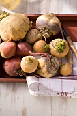 Autumnal vegetables (fodder turnips, swedes, beetroot)