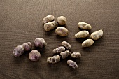 Various blue potatoes: Violetta, Blue Salad Potato, Blaue Elise, truffle potato