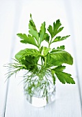 Fresh herbs in a glass of water