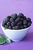 Blackberries in white bowl