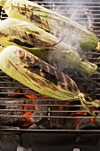 Corn on the cob being grilled in their leaves