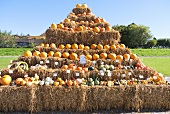 A hay bale pyramid with lots of different types of squash