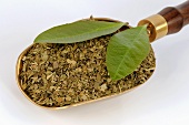 Dried and fresh yerba maté leaves in a scoop
