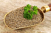 Parsley seeds