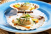 Scallops in cream sauce with vegetables and tarragon