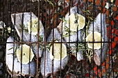Tuna with lemon slices and rosemary on barbecue