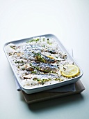 Sardines baked on sea salt with thyme