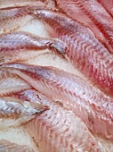 Fresh redfish fillets on ice