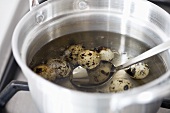 Boiling quails' eggs in water