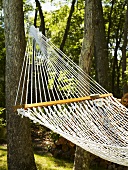 Hammock in garden