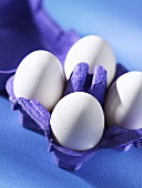 Four eggs in purple egg box