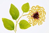 Blume aus Nudeln, Safran und Basilikum