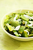 Green bean salad with onions and salad leaves, Chile