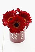 Red gerberas