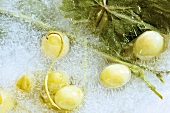 Green grapes in a block of ice