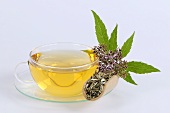 Agrimony tea in glass cup and saucer