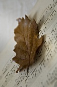 Music book with an autumn leaf (close-up)