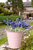 Flowers in pink bucket