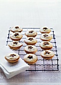 Mince pies with icing sugar on cake rack