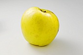 'Holsteiner Zitronenapfel' (apple variety)