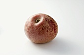 Apfel der Sorte 'Rotfranch'