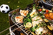 Grilled salmon with herbs on barbecue rack