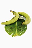 Plantains from Ecuador with banana leaf