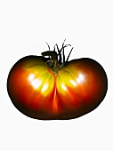 Eine Bio-Tomate (Sorte Brown Flash)