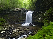 Wasserfall (West Virginia, USA)