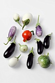 Various types of aubergines