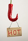 Chilli with a 'HOT' sign