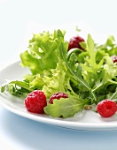 Mixed salad leaves with raspberries
