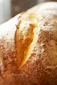 White farmhouse bread (detail)