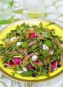 Herb salad with salmon, lentils, radishes and pesto