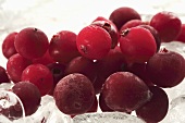 Frozen redcurrants (close-up)