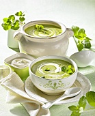 Cream of pea soup with mint and sour cream