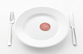 Slice of salami on white plate