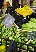 Frisches Gemüse in Steigen auf dem Markt (Antibes, Frankreich)