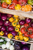 Verschiedene Gemüsesorten in Steigen auf dem Markt (Antibes, Frankreich)