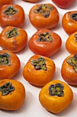 Persimmons in rows