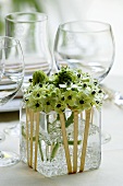 Flowers in a square glass vase