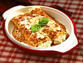 Baked cannelloni with cheese