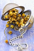 Dried chamomile in tea infuser