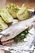Salmon trout with herbs and fennel on aluminium foil